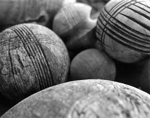 Bocce Ball Garden 2
