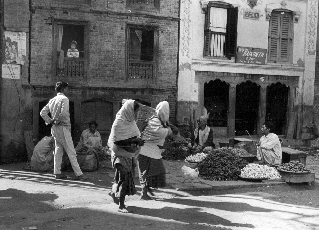 Chicken in the Street
