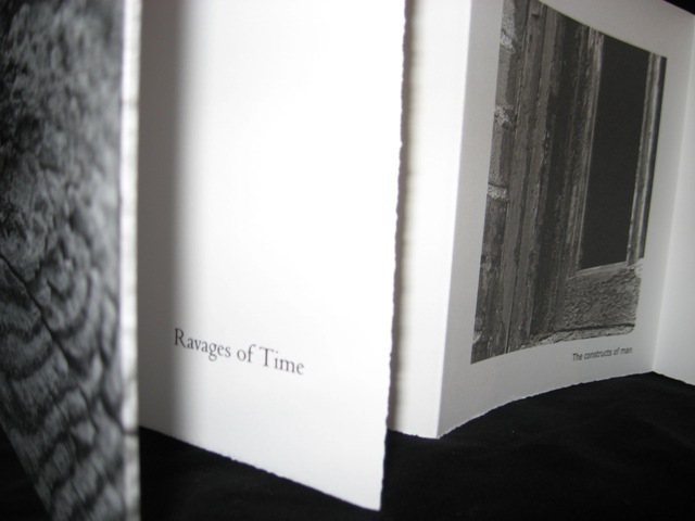 looking into the book