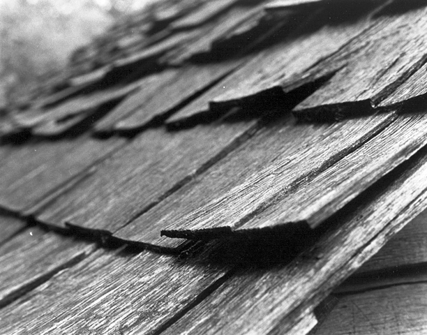 Roof Shingles